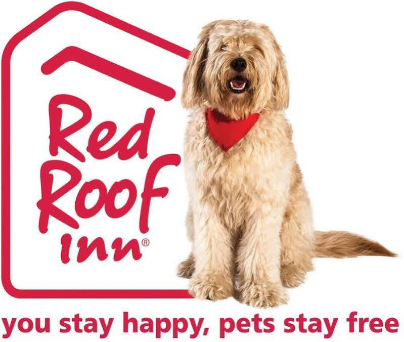 Red Roof Inn Plus+ Columbus-Ohio State University Osu المظهر الخارجي الصورة
